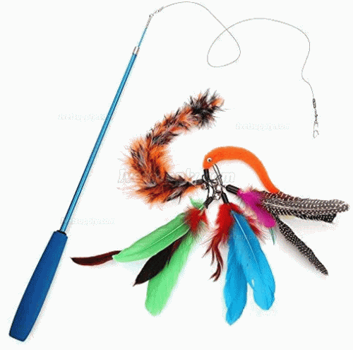 Feather Teaser Cat Toy Retractable Cat Feather Toy Wand with 5 Assorted Teaser
